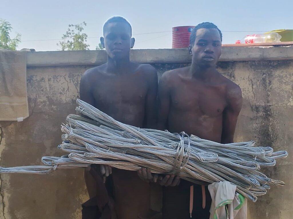Troops Arrest Two Suspected Boko Haram Informants In Borno