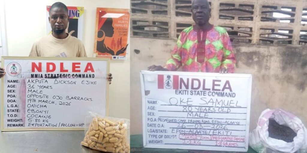 NDLEA Intercepts Cocaine Hidden in Fish Heads Bound for India, Arrests 80-Year-Old Suspect In Ekiti NDLEA Intercepts Cocaine Hidden in Fish Heads Bound for India, Arrests 80-Year-Old Suspect In Ekiti