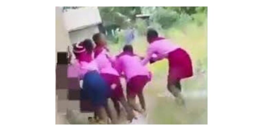 Benue School Expels 11 Students Over Viral Video Of Assault On Female Student