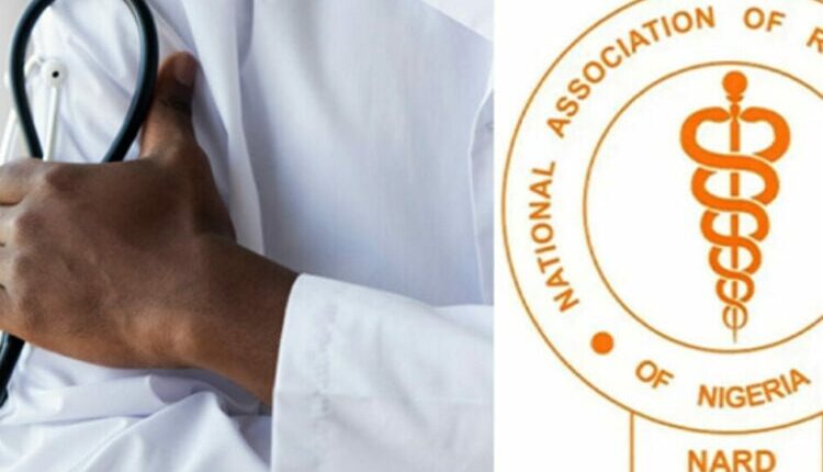 NARD Declares Indefinite Strike Over Allowance Dispute NARD Declares Indefinite Strike Over Allowance Dispute