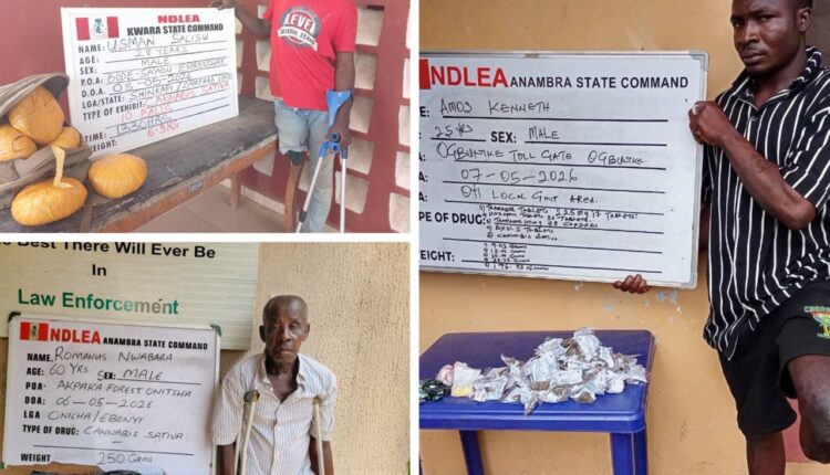 NDLEA Nabs Three PWDs, Seizes N5.8bn Drugs In Multi-State Raids NDLEA Nabs Three PWDs, Seizes N5.8bn Drugs In Multi-State Raids