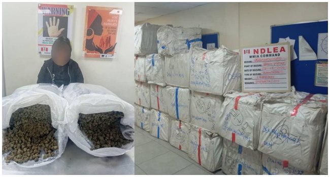 NDLEA Nabs 63-Year-Old Chinese Woman With 31kg Cannabis At Lagos Airport, Seizes ₦2.19bn Drugs NDLEA Nabs 63-Year-Old Chinese Woman With 31kg Cannabis At Lagos Airport, Seizes ₦2.19bn Drugs