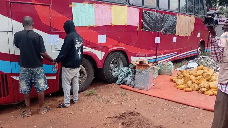 Customs Intercepts Bus Laden With Military Camouflage, Cannabis Worth ₦259.68m In Ogun Customs Intercepts Bus Laden With Military Camouflage, Cannabis Worth ₦259.68m In Ogun