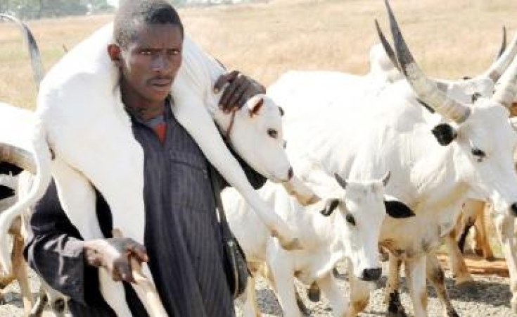 Fulani Group Urges Herdsmen To Expose Criminals, Backs Igboho’s Clarification Fulani Group Urges Herdsmen To Expose Criminals, Backs Igboho’s Clarification