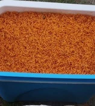 Bride, Mother-in-Law Allegedly Exchange Slaps Over Food as Marriage Reportedly Collapses Days After Wedding Bride, Mother-in-Law Allegedly Exchange Slaps Over Food as Marriage Reportedly Collapses Days After Wedding