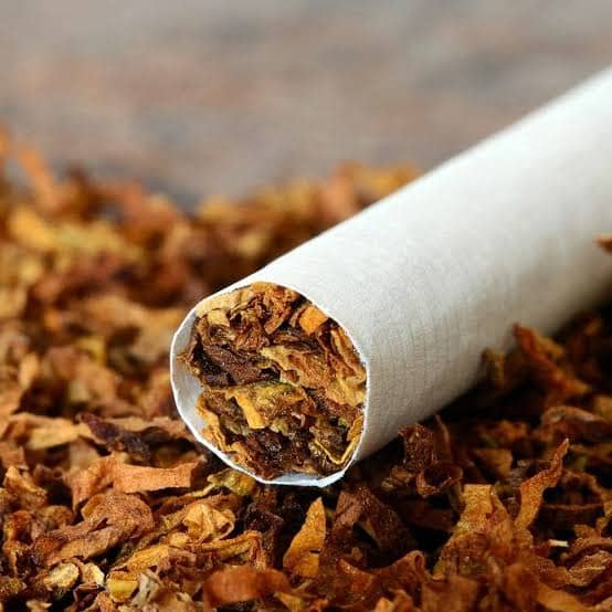 Tobacco Contains Over 3,000 Cancer-Causing Chemicals — Oncologist Tobacco Contains Over 3,000 Cancer-Causing Chemicals — Oncologist