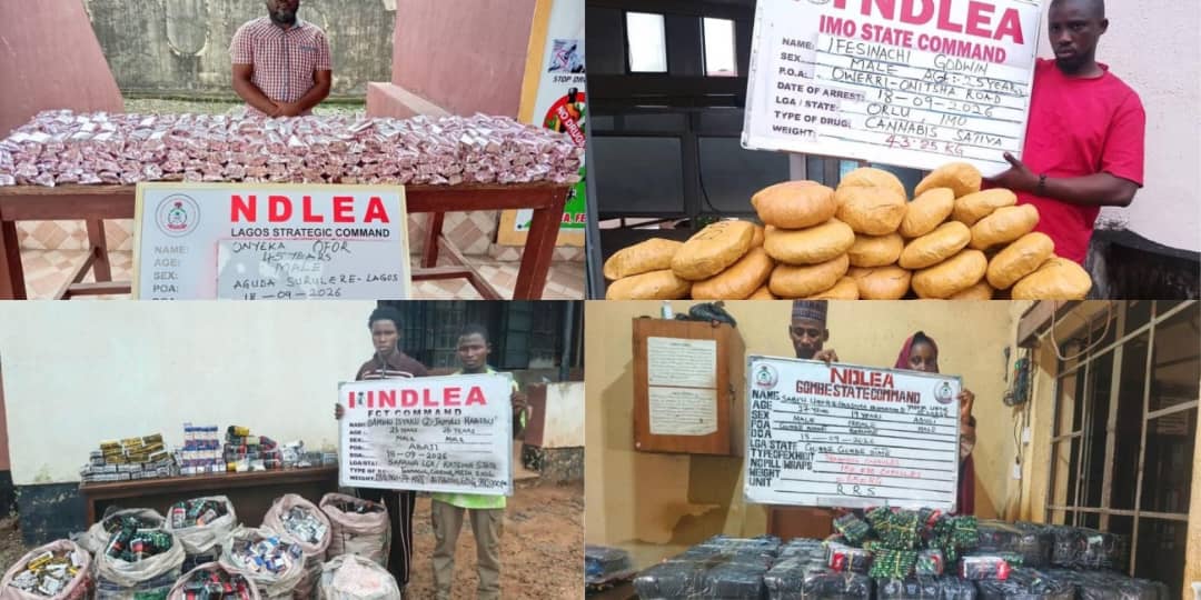 NDLEA Seizes N3.4bn Drugs, Arrests Fake Policeman, Gunmen In Nationwide Raids NDLEA Seizes N3.4bn Drugs, Arrests Fake Policeman, Gunmen In Nationwide Raids